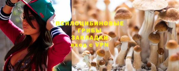 эйфоретик Алексеевка