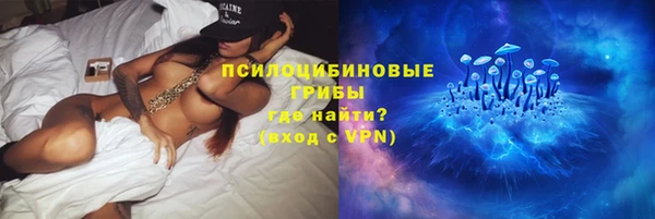 дурь Алексин