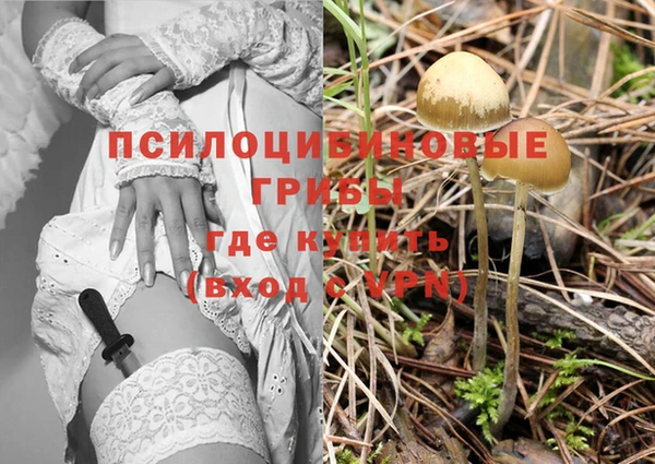 МДПВ Протвино