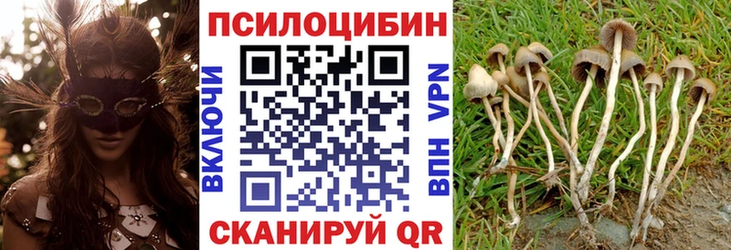 Галлюциногенные грибы GOLDEN TEACHER  Белый 